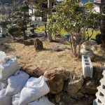 お手入れされた坪庭