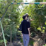 K様邸外構工事／植栽選び