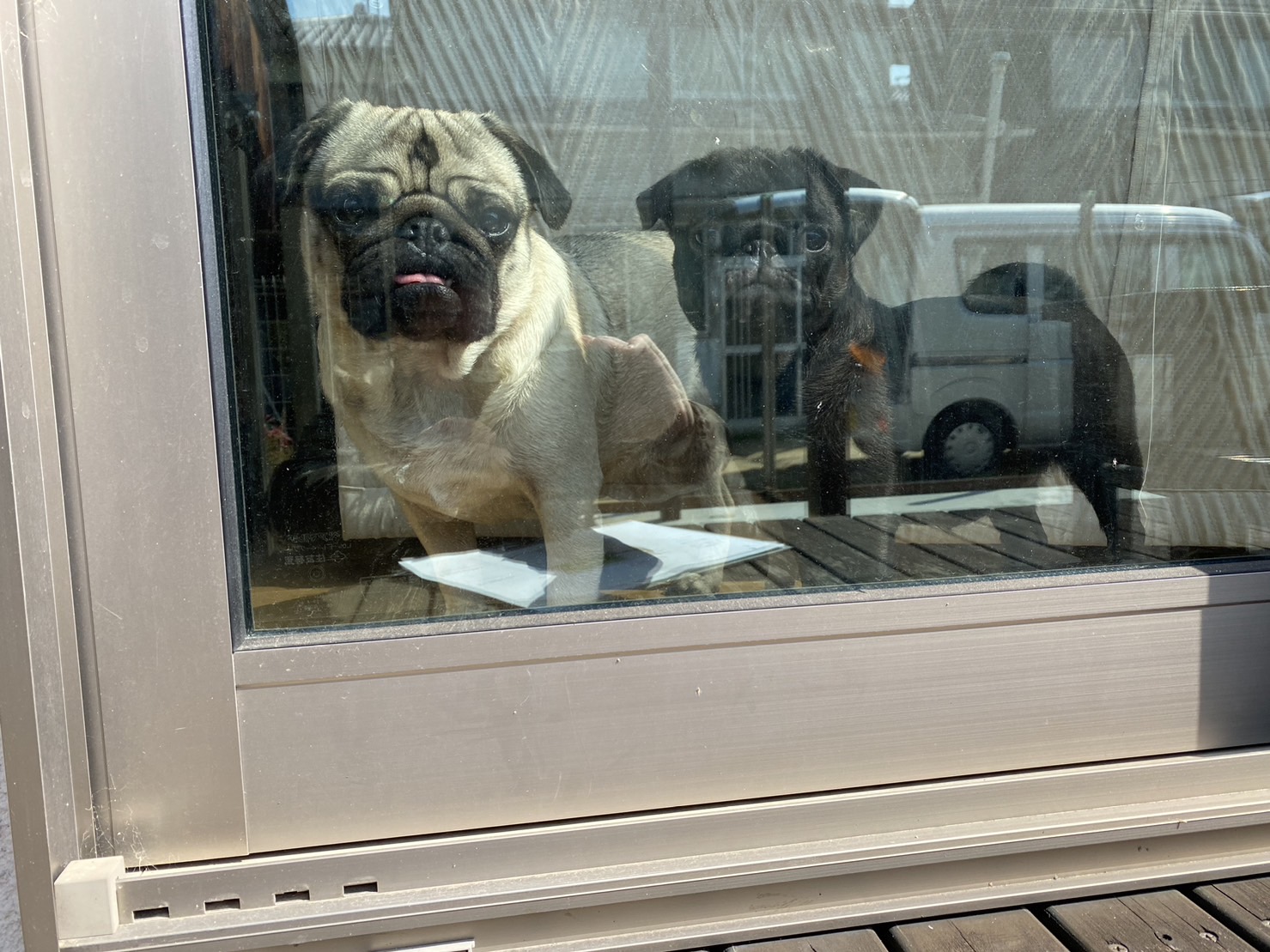 土間コンクリートＯＫ！ウッドデッキのステップ作り【香川県高松市松縄町・Ｋ様邸庭リフォーム工事】 (株)カインズガーデン｜香川県の外構・エクステリア・庭リフォーム工事