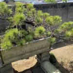 独立基礎とスクリーン柱工事【香川県坂出市Ｎ様邸】 (株)カインズガーデン｜香川の外構・エクステリア・庭リフォーム工事