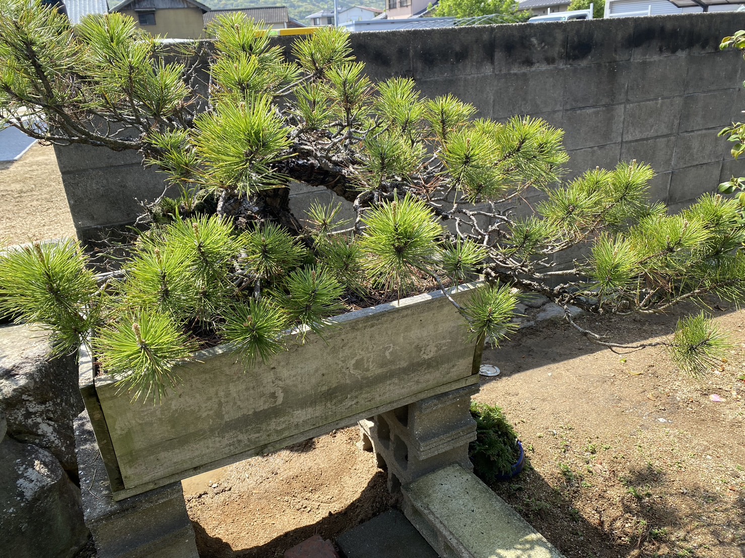 独立基礎とスクリーン柱工事【香川県坂出市Ｎ様邸】 (株)カインズガーデン｜香川の外構・エクステリア・庭リフォーム工事