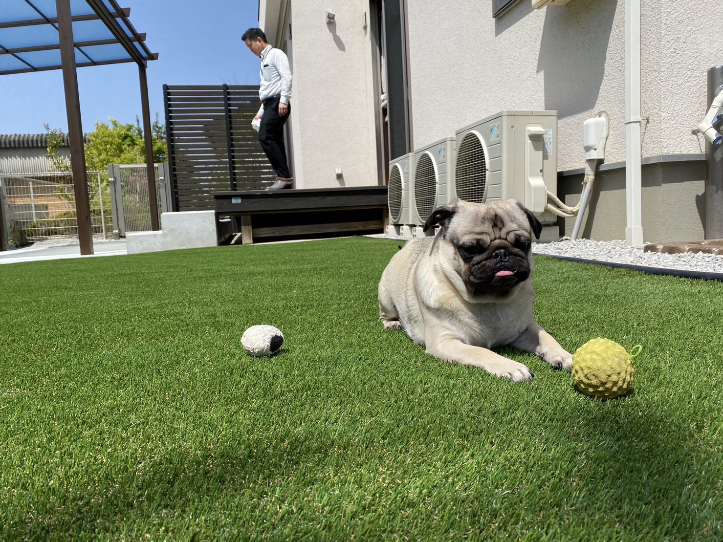 【松縄町】Ｋ様邸ドッグラン🐶お披露目会✨～ひたすら眺めて癒されるの巻～ (株)カインズガーデン｜香川の〝愛犬家〟庭リフォーム工事