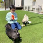 【松縄町】Ｋ様邸ドッグラン🐶お披露目会✨～ひたすら眺めて癒されるの巻～ (株)カインズガーデン｜香川の〝愛犬家〟庭リフォーム工事