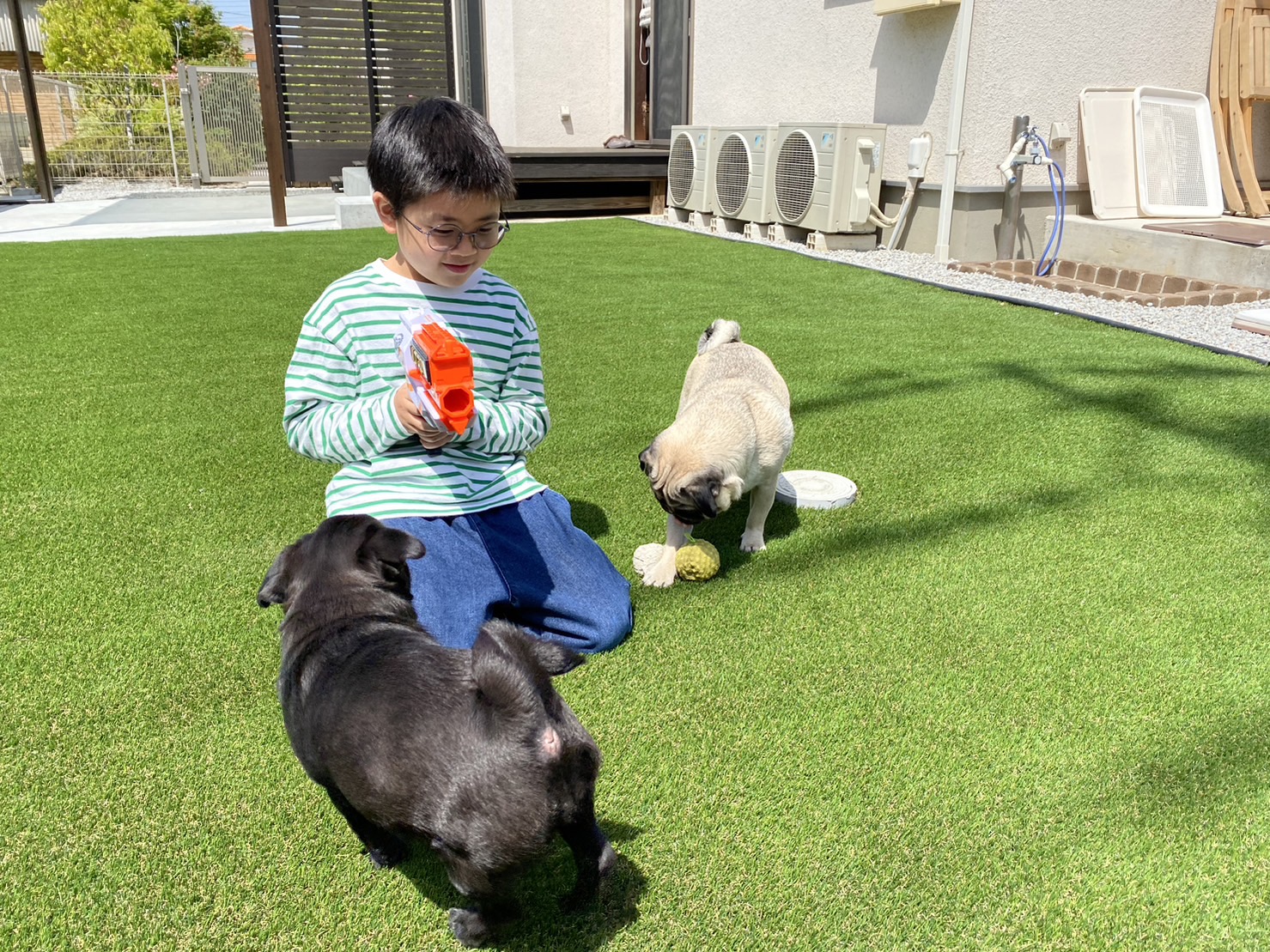 【松縄町】Ｋ様邸ドッグラン🐶お披露目会✨～ひたすら眺めて癒されるの巻～ (株)カインズガーデン｜香川の〝愛犬家〟庭リフォーム工事