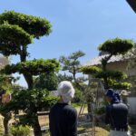 【綾川町】お父様の大切なバベの木。一大決心。 (株)カインズガーデン|香川の外構・エクステリア・庭リフォーム工事