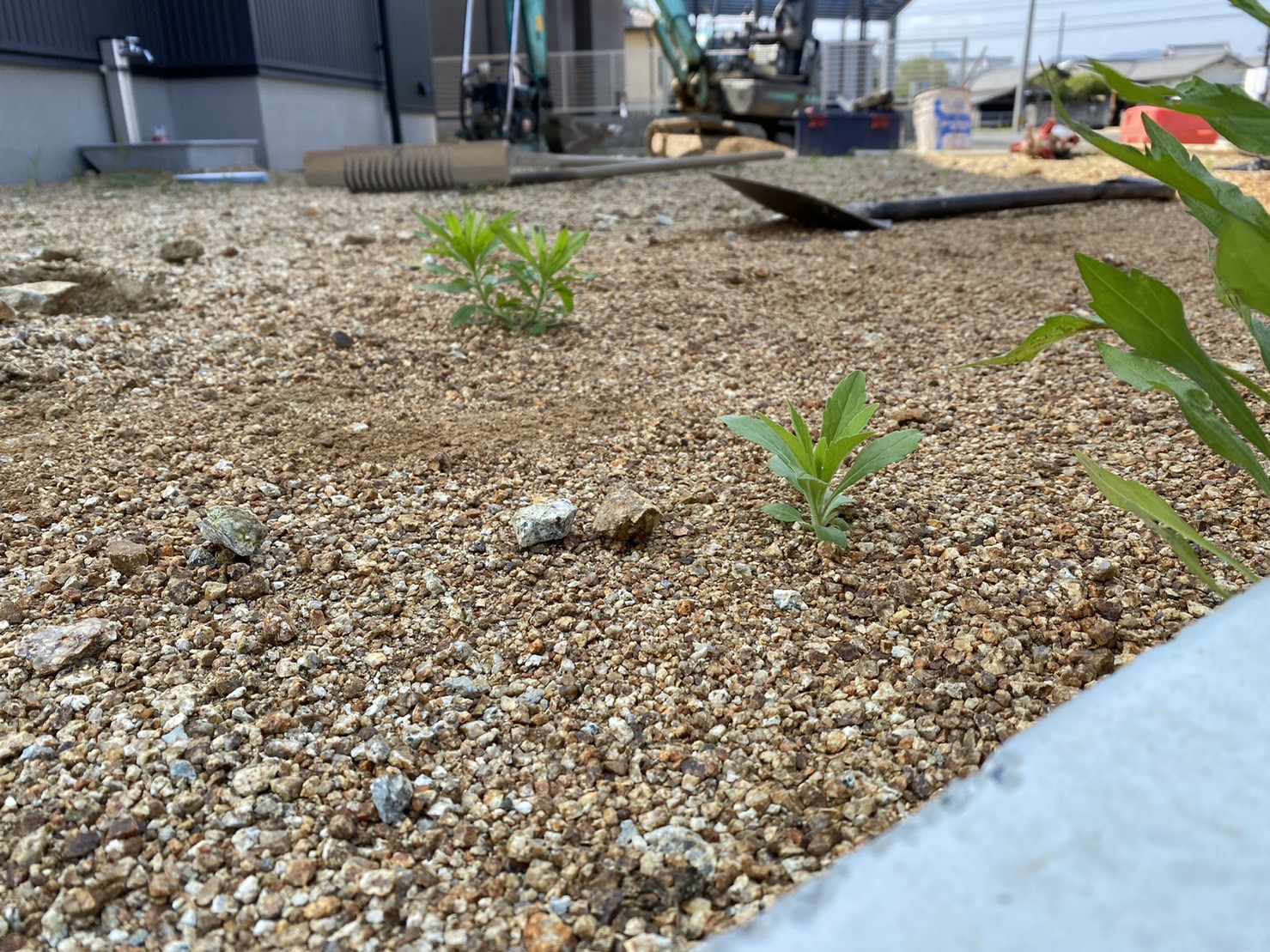 【綾川町】Ｓ様邸外構工事、本日スタート👷 (株)カインズガーデン｜香川の庭リフォーム工事，外構・エクステリア工事