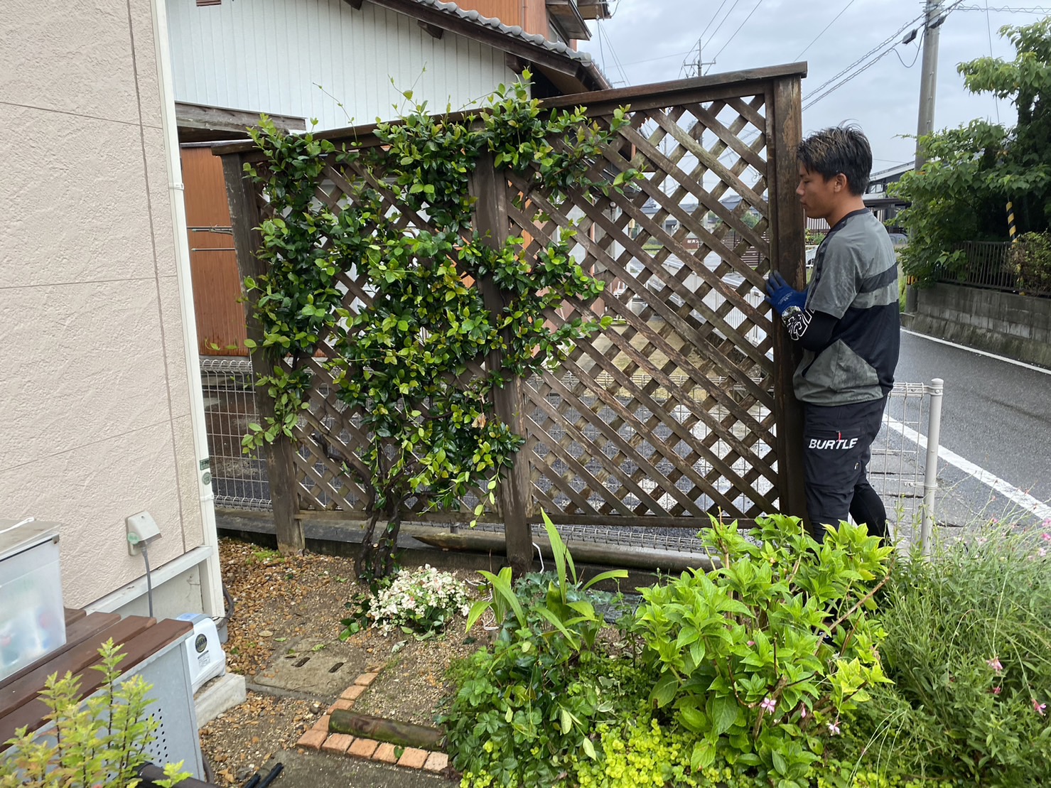 【香川県三豊市山本町Ｍ様邸】庭リフォーム工事／目隠し撤去＆目隠しフェンス設置工事開始👷 (株)カインズガーデン｜庭工事