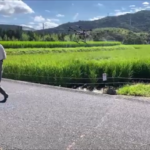 【鮮やかなドローン捌き】のどかな田んぼで出会ったドローン操縦士in香川県 (株)カインズガーデン|香川の庭リフォーム工事