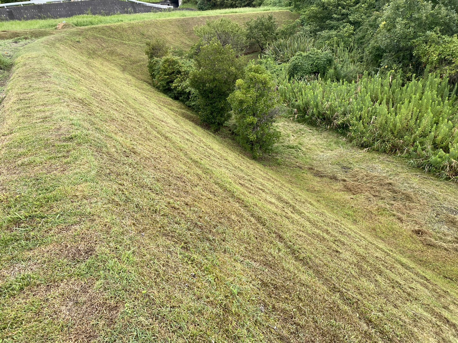 【香川県・綾川町Ｔ様邸】田んぼの法面、除草＆雑草対策！防草シート張り／庭リフォーム工事三期👷 (株)カインズガーデン