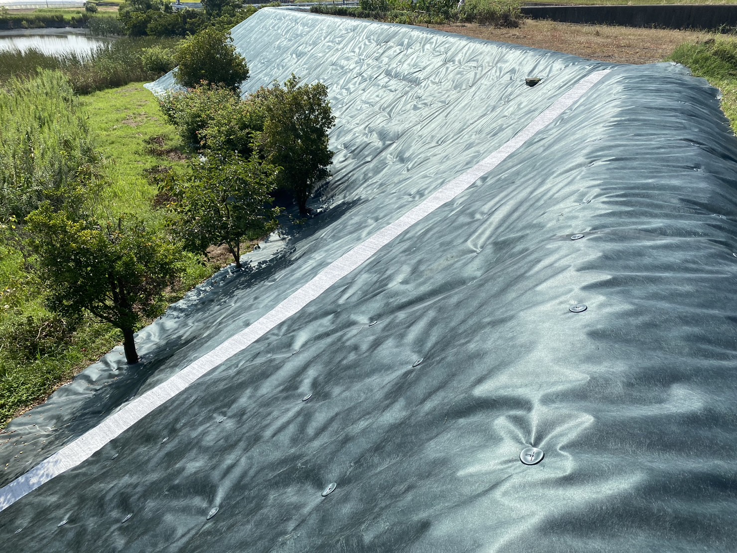 【香川県・綾川町Ｔ様邸】田んぼ法面＆裏庭雑草対策／防草シート張り㊗完工㊗！庭リフォーム工事三期完 (株)カインズガーデン｜香川の庭リフォーム工事