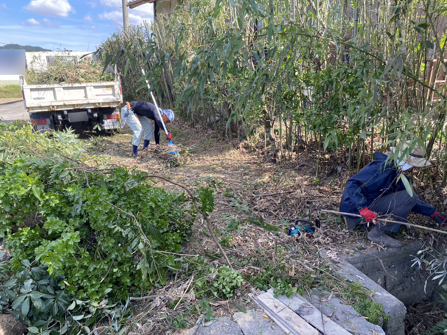 【香川県・綾川町Ｆ様邸】庭まわりスッキリ✨庭木・植栽の伐採剪定続報です (株)カインズガーデン｜香川の庭リフォーム工事