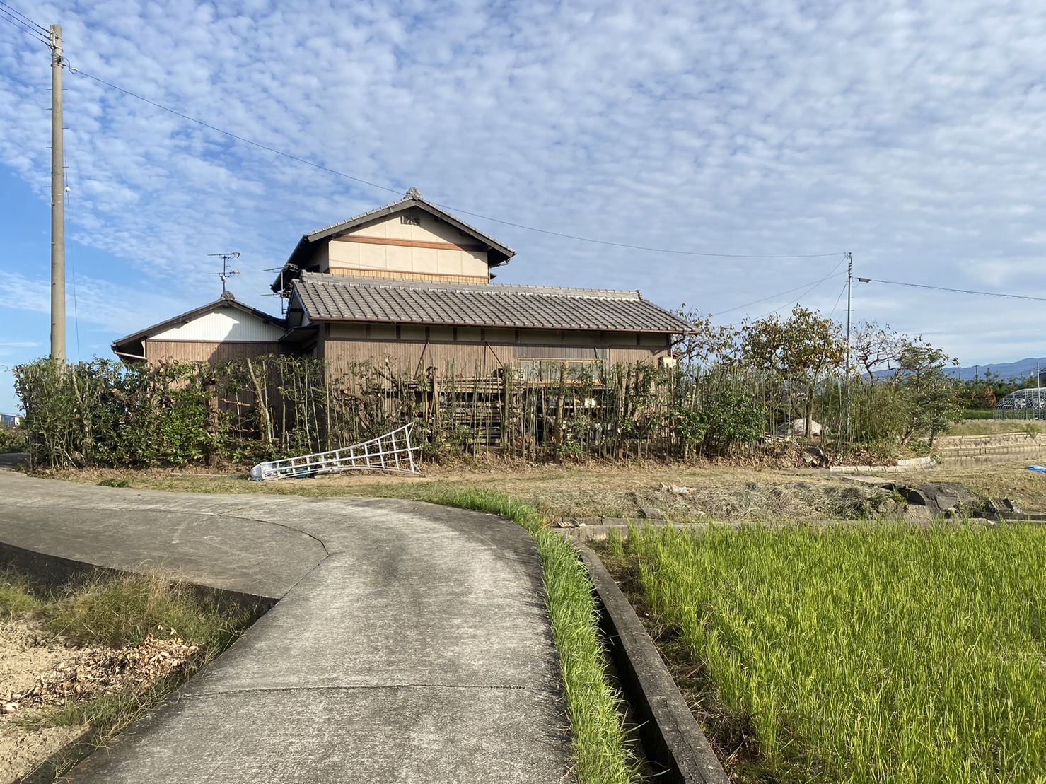 【香川県・綾川町 Ｆ様邸】庭木の伐採撤去・伐採剪定完了✨ (株)カインズガーデン｜香川の庭リフォーム工事，庭工事
