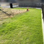 【香川県高松市S様邸】庭リフォーム工事着工👷雑草撤去や植栽整理/雑草対策の砂利敷き等 (株)カインズガーデン|香川県の雑草対策,庭仕舞い