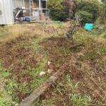 【香川県・綾川町T様邸】雑草撤去や庭木伐根、本日着工👷 (株)カインズガーデン|香川の雑草対策,庭リフォーム工事,庭仕舞い