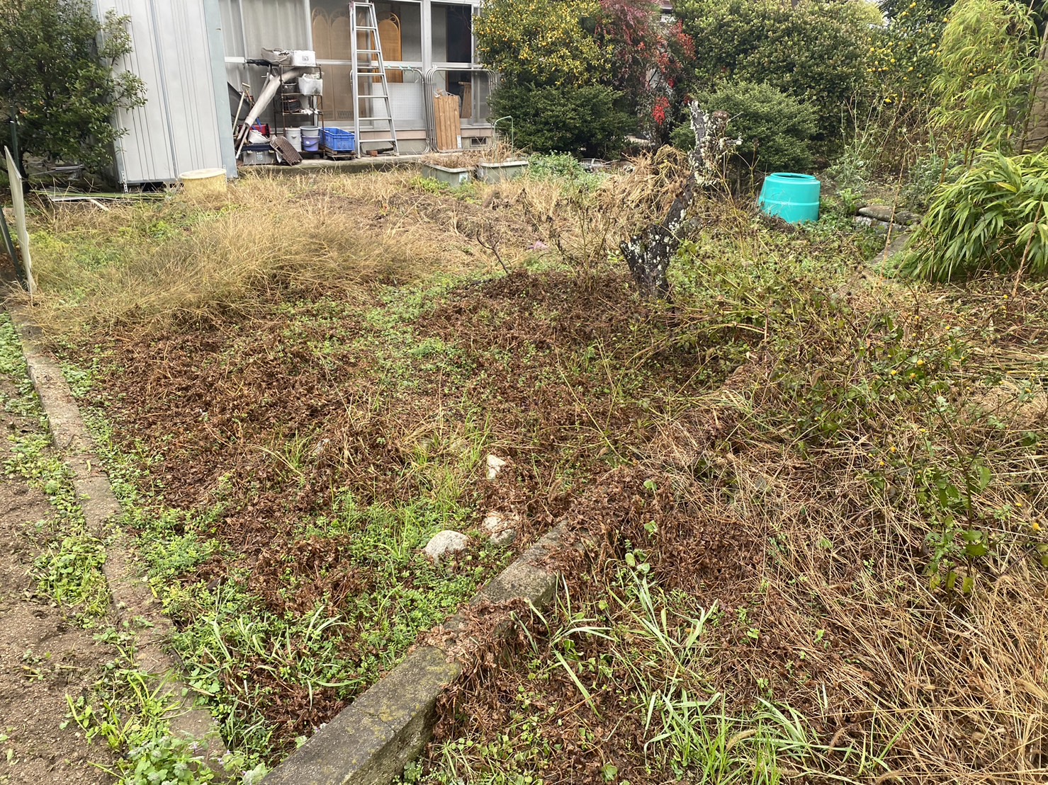 【香川県・綾川町Ｔ様邸】雑草撤去や庭木伐根、本日着工👷 (株)カインズガーデン｜香川の雑草対策，庭リフォーム工事，庭仕舞い