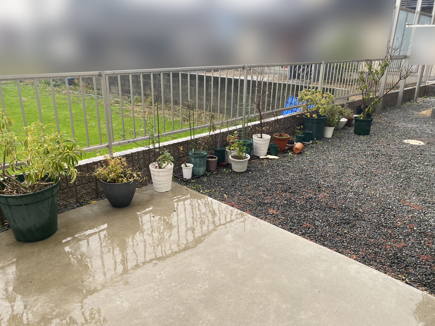 【香川県観音寺市Ｓ様邸】目隠しフェンス工事、本日着工👷 (株)カインズガーデン｜香川の庭リフォーム工事，庭仕舞い，修繕工事