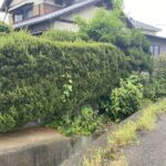【今後も増える庭仕舞い】庭木・庭石撤去の様子／観音寺市Ｍ様邸 (株)カインズガーデン｜香川県の庭仕舞い，庭リフォーム工事，雑草対策