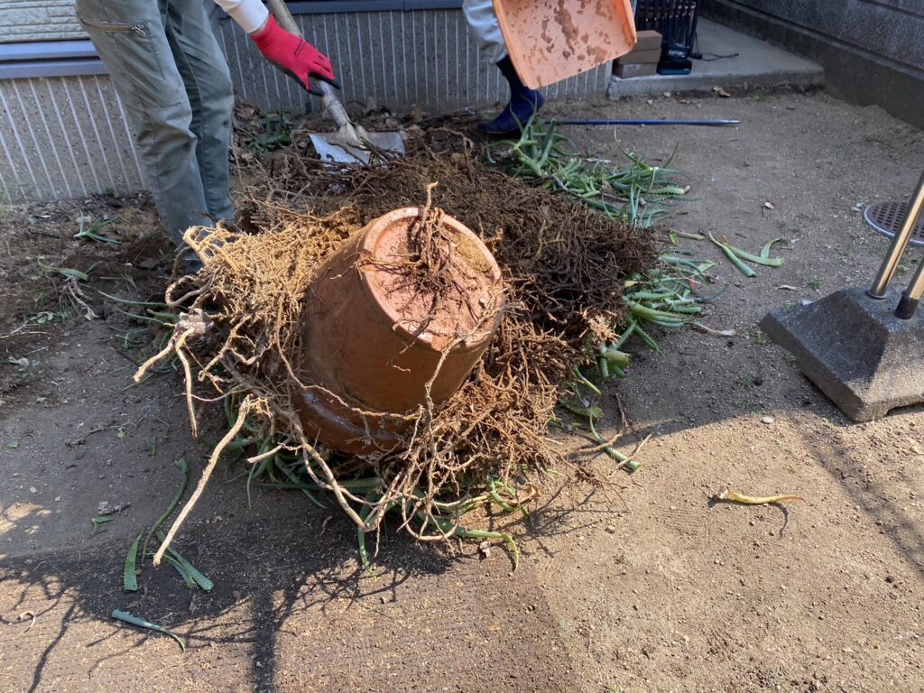 【香川県高松市Ｓ様邸】雑草対策・植栽撤去・テラス工事等／ペットが遊べる♪庭リフォーム工事着工⛑ (株)カインズガーデン