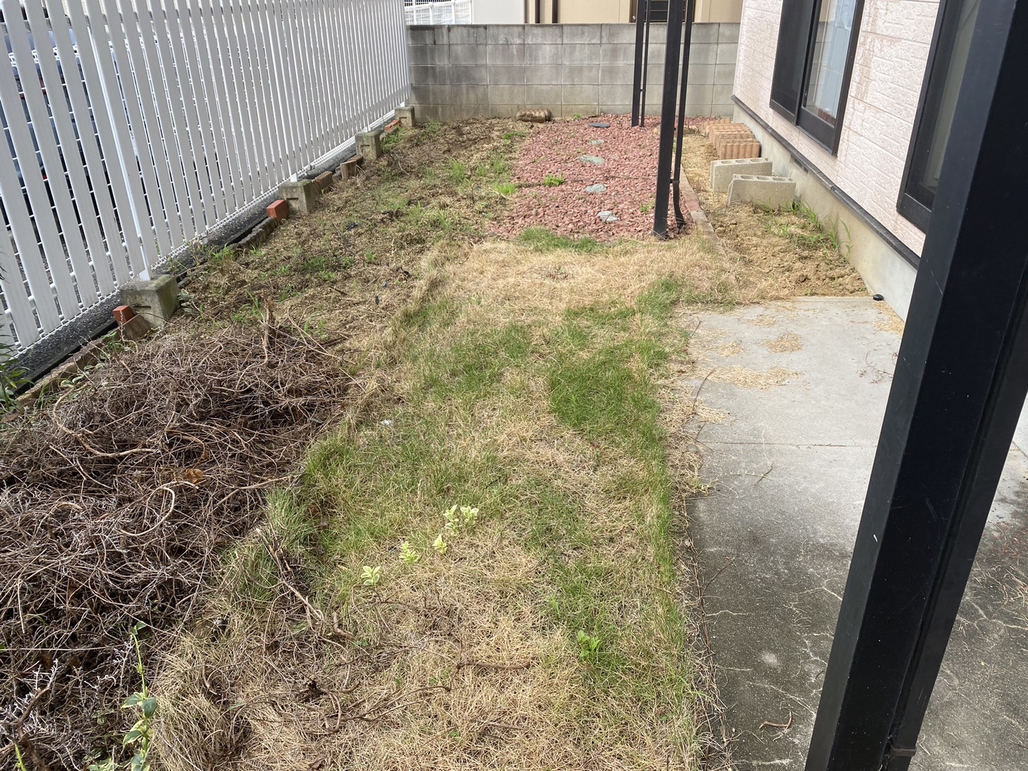 【香川県・宇多津町Ｏ様邸】裏庭の天然芝撤去等、裏庭リフォーム工事着工⛑ (株)カインズガーデン｜香川の雑草対策，庭リフォーム工事，庭仕舞い