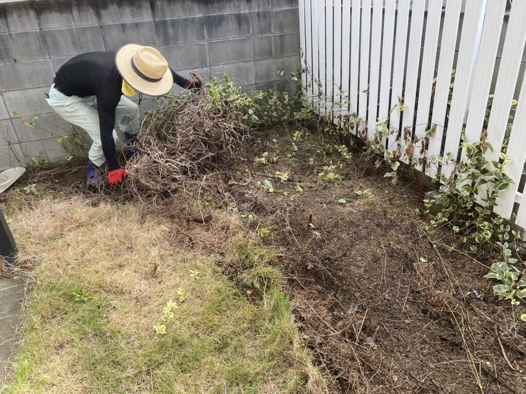 【香川県・宇多津町Ｏ様邸】裏庭の天然芝撤去等、裏庭リフォーム工事着工⛑ (株)カインズガーデン｜香川の雑草対策，庭リフォーム工事，庭仕舞い