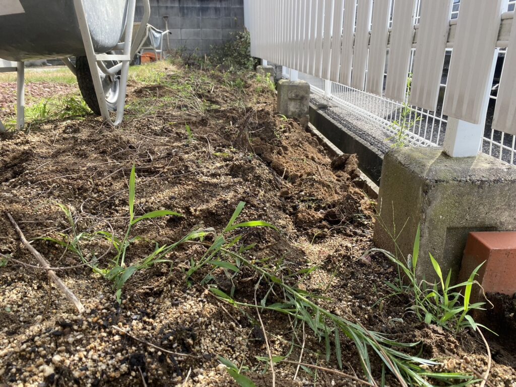 【香川県・宇多津町Ｏ様邸】裏庭の天然芝撤去等、裏庭リフォーム工事着工⛑ (株)カインズガーデン｜香川の雑草対策，庭リフォーム工事，庭仕舞い