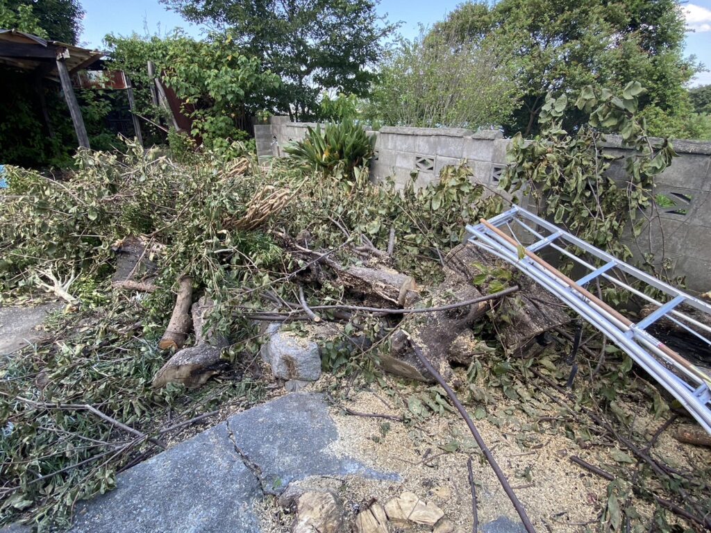 【香川県・綾川町ＫＵ様邸】庭木植栽などの伐採撤去中！少しずつスッキリしてます✨ (株)カインズガーデン｜香川の庭リフォーム工事，庭仕舞い