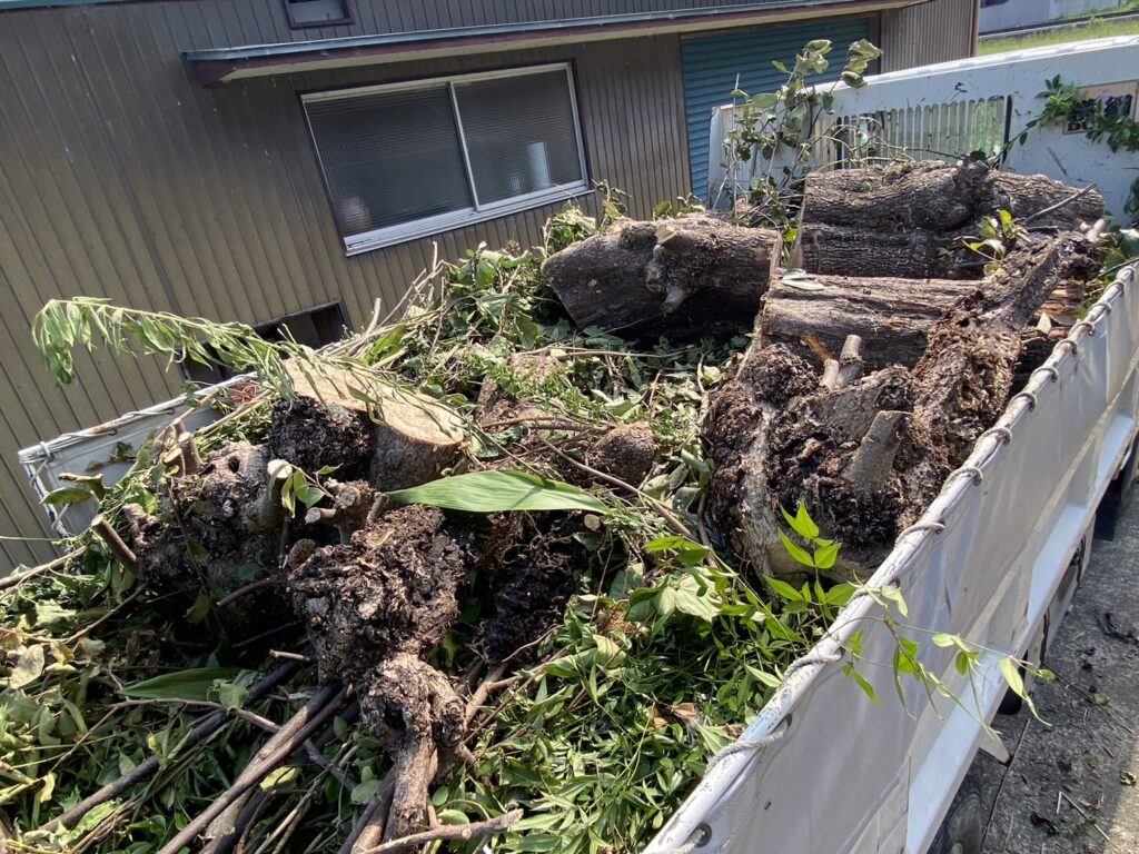 【香川県・綾川町ＫＵ様邸】庭木植栽などの伐採撤去中！少しずつスッキリしてます✨ (株)カインズガーデン｜香川の庭リフォーム工事，庭仕舞い