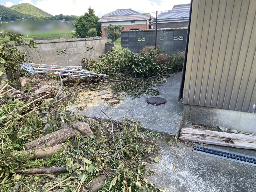 【香川県・綾川町ＫＵ様邸】庭木植栽などの伐採撤去中！少しずつスッキリしてます✨ (株)カインズガーデン｜香川の庭リフォーム工事，庭仕舞い