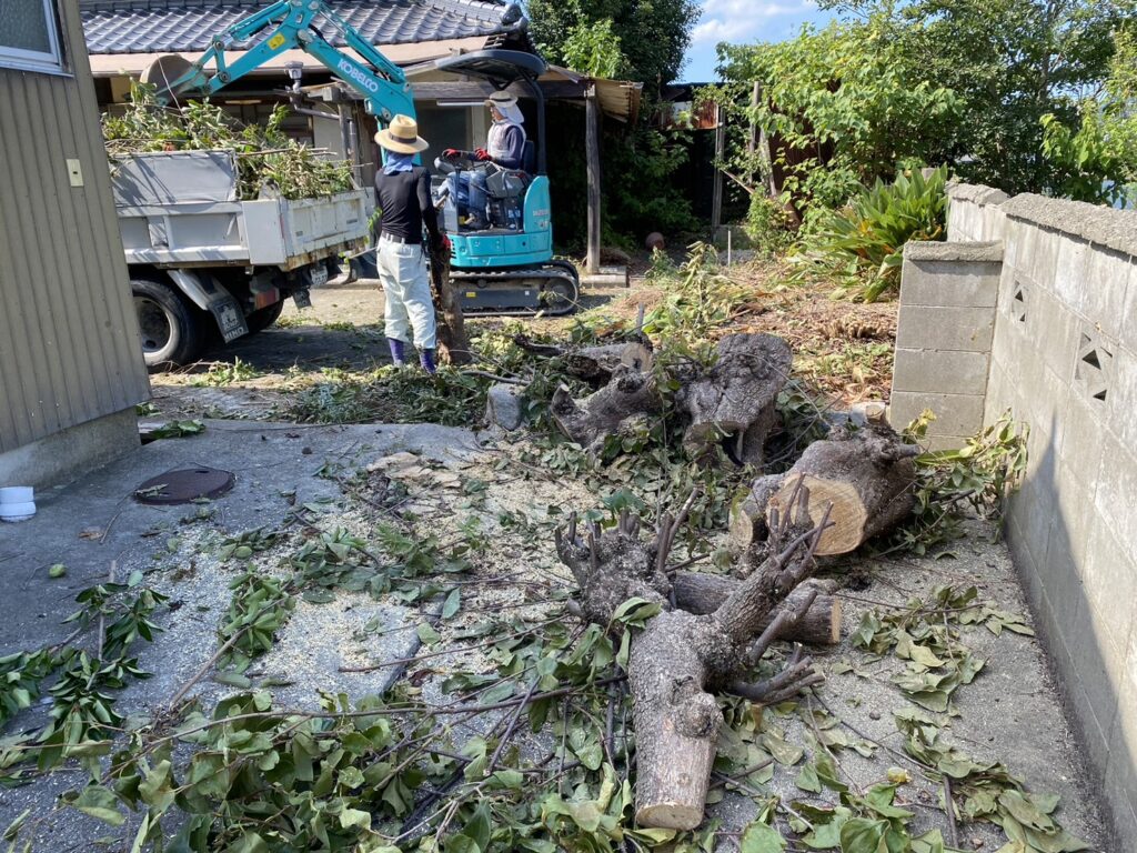 【香川県・綾川町ＫＵ様邸】庭木植栽などの伐採撤去中！少しずつスッキリしてます✨ (株)カインズガーデン｜香川の庭リフォーム工事，庭仕舞い