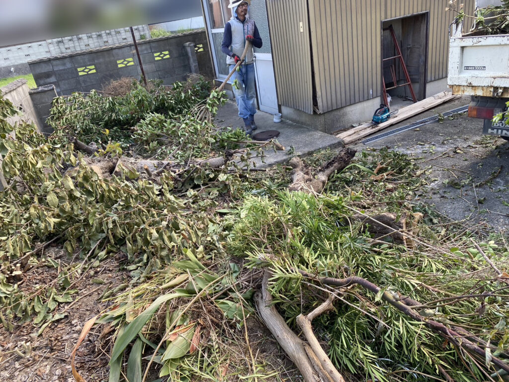 【香川県・綾川町ＫＵ様邸】庭木植栽などの伐採撤去中！少しずつスッキリしてます✨ (株)カインズガーデン｜香川の庭リフォーム工事，庭仕舞い