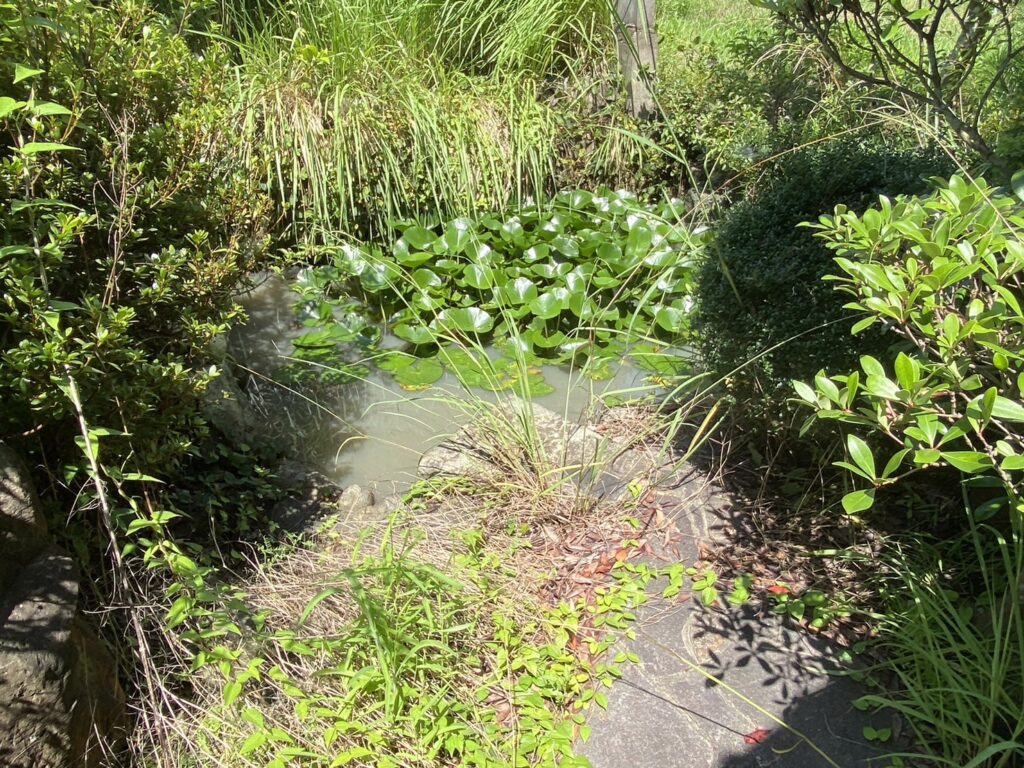 【香川県・綾川町ＫＵ様邸】庭木植栽・雑草・石垣等、撤去工事着工⛑ (株)カインズガーデン｜香川の庭リフォーム工事，庭仕舞い