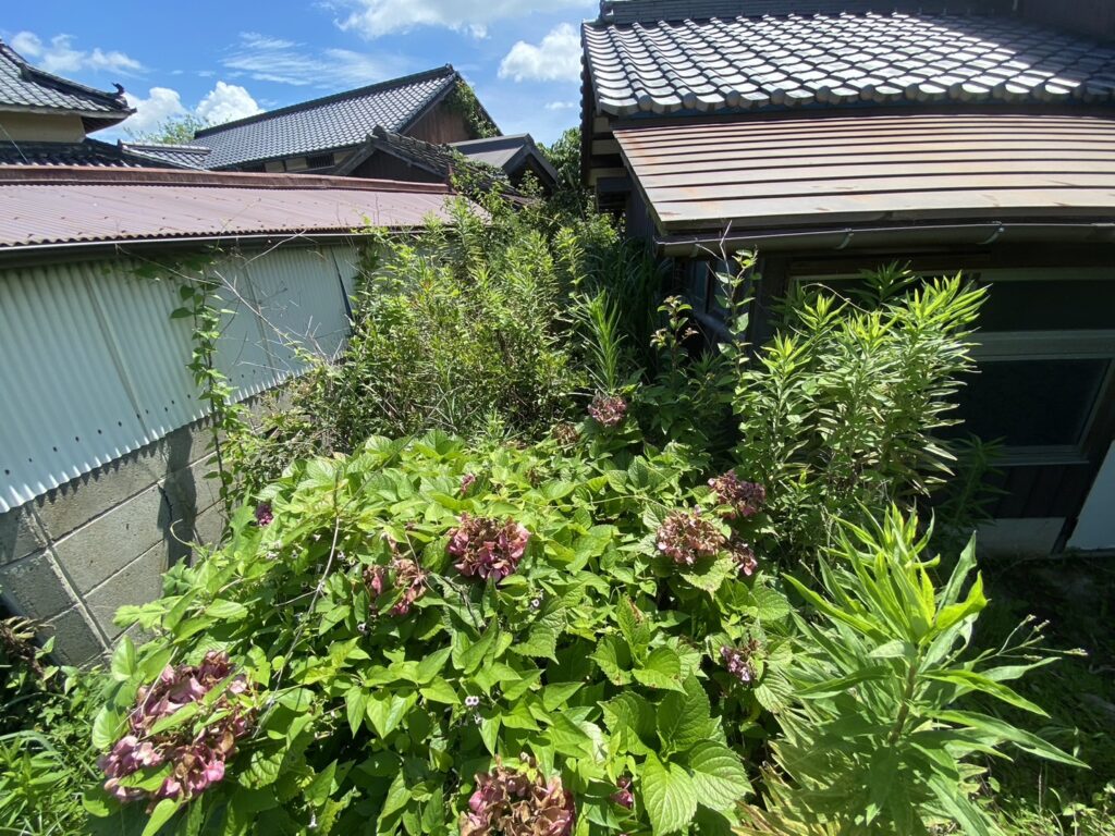 【香川県・綾川町ＫＵ様邸】庭木植栽・雑草・石垣等、撤去工事着工⛑ (株)カインズガーデン｜香川の庭リフォーム工事，庭仕舞い