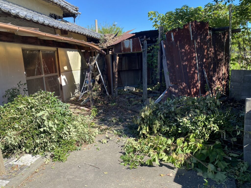 【香川県・綾川町ＫＵ様邸】庭木植栽などの伐採撤去中！少しずつスッキリしてます✨ (株)カインズガーデン｜香川の庭リフォーム工事，庭仕舞い