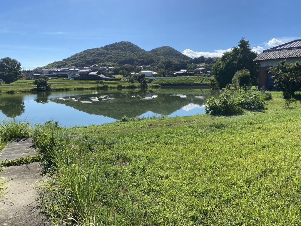 【香川県・綾川町ＫＵ様邸】庭木植栽などの伐採撤去中！少しずつスッキリしてます✨ (株)カインズガーデン｜香川の庭リフォーム工事，庭仕舞い