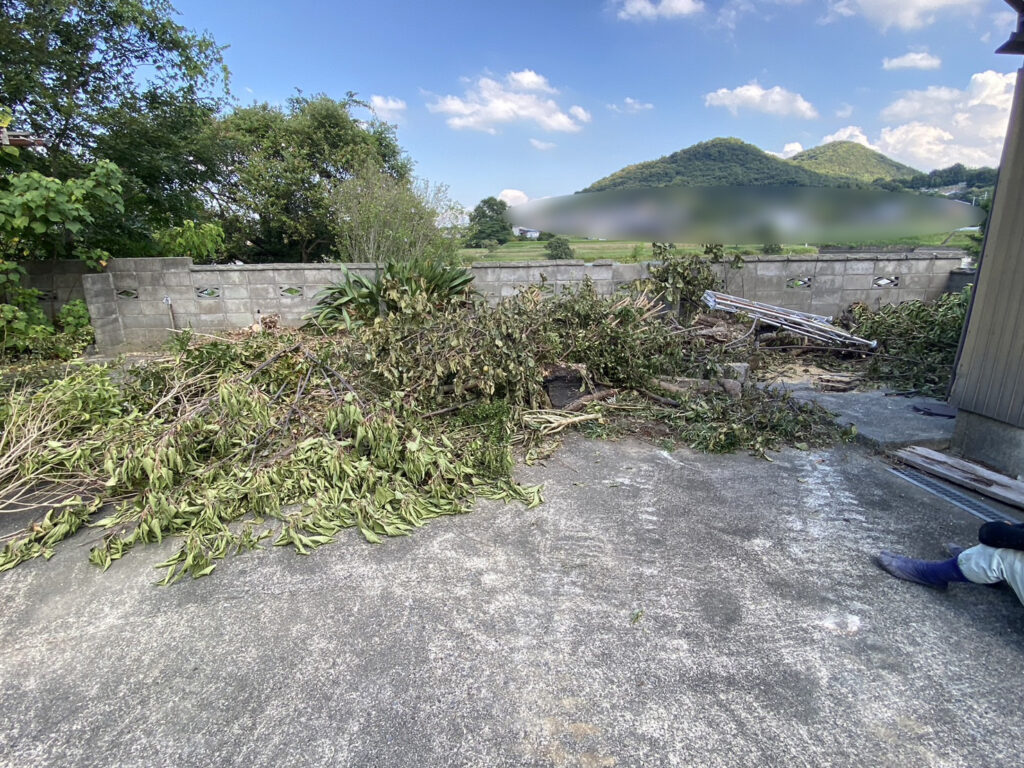 【香川県・綾川町ＫＵ様邸】庭木植栽などの伐採撤去中！少しずつスッキリしてます✨ (株)カインズガーデン｜香川の庭リフォーム工事，庭仕舞い