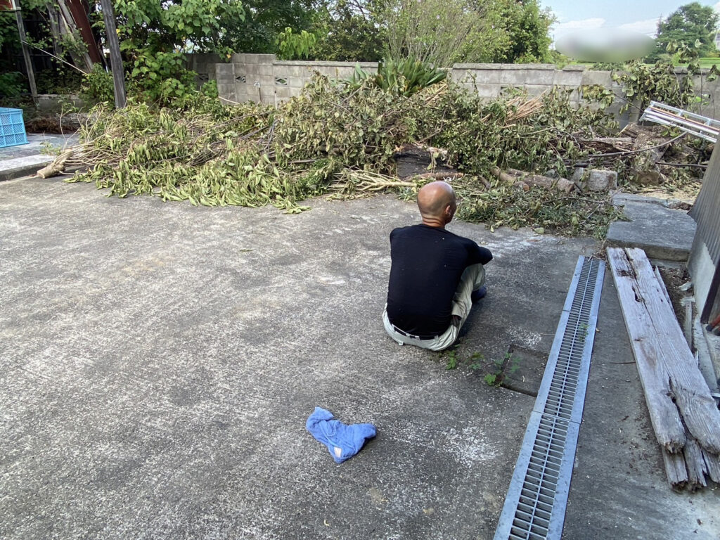 【香川県・綾川町ＫＵ様邸】庭木植栽などの伐採撤去中！少しずつスッキリしてます✨ (株)カインズガーデン｜香川の庭リフォーム工事，庭仕舞い