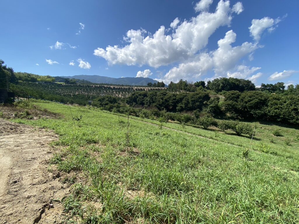 【三豊市財田町O様ガレージ２連棟】土間コンクリート打設 (株)カインズガーデン｜香川県のエクステリア工事，物置工事