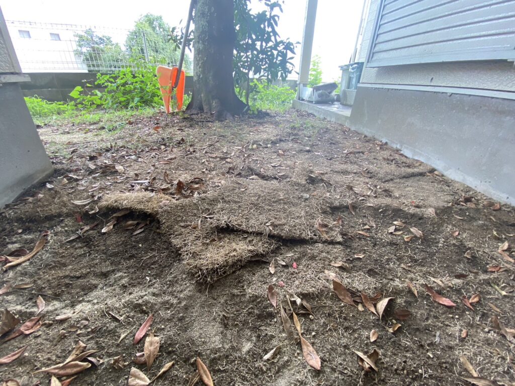 【高松市Ｔ様邸】雑草や天然芝を撤去！雑草対策工事、着工⛑ (株)カインズガーデン｜香川県の庭リフォーム工事，庭仕舞い