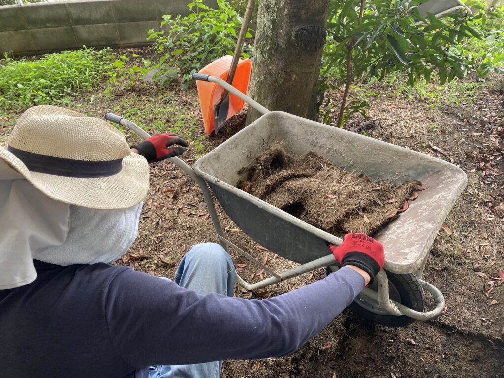 【高松市Ｔ様邸】雑草や天然芝を撤去！雑草対策工事、着工⛑ (株)カインズガーデン｜香川県の庭リフォーム工事，庭仕舞い