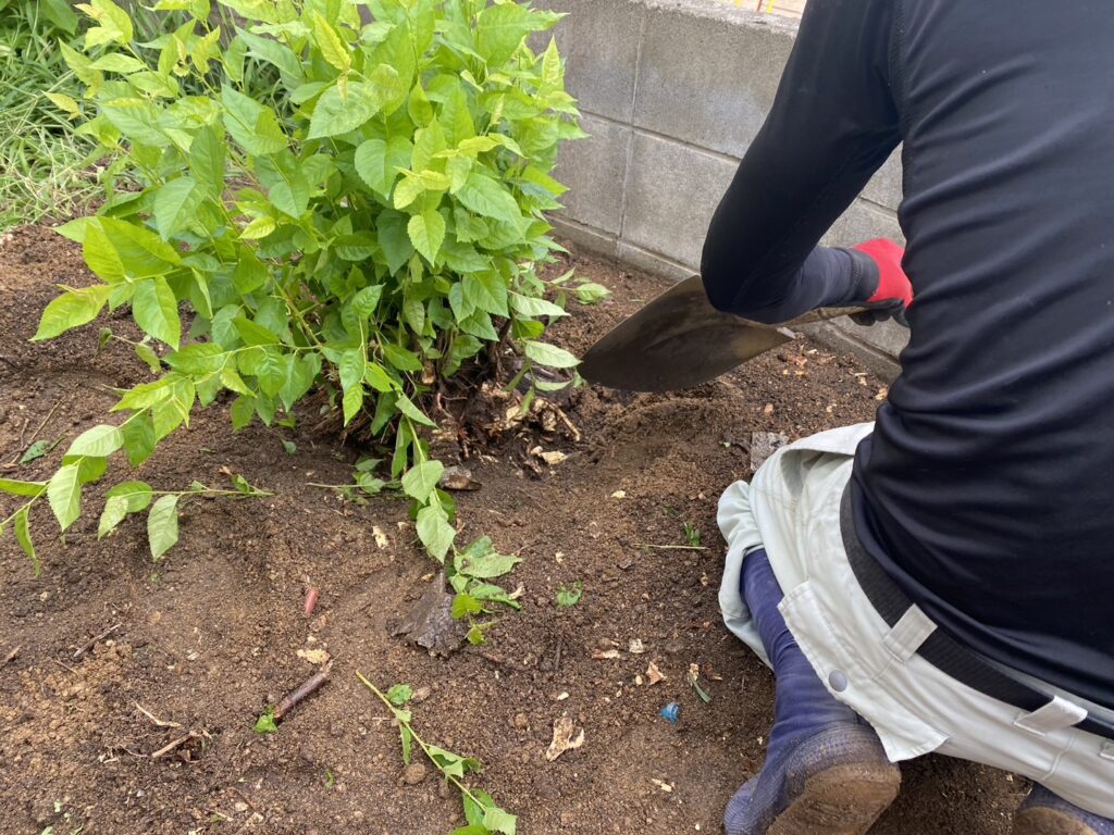 【高松市Ｔ様邸】雑草や天然芝を撤去！雑草対策工事、着工⛑ (株)カインズガーデン｜香川県の庭リフォーム工事，庭仕舞い