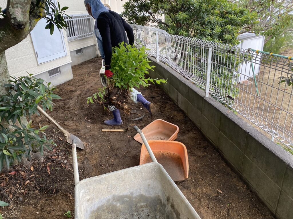 【高松市Ｔ様邸】雑草や天然芝を撤去！雑草対策工事、着工⛑ (株)カインズガーデン｜香川県の庭リフォーム工事，庭仕舞い