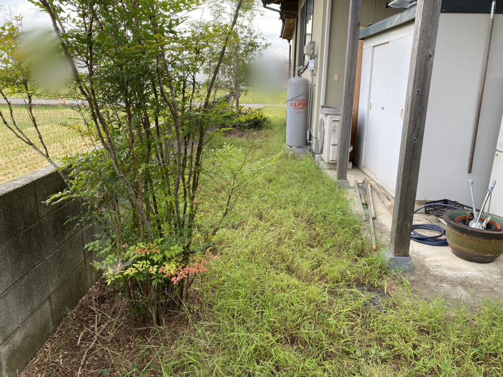 【高松市Ａ様邸】雑草対策・庭木や敷石撤去，庭リフォーム工事着工⛑ (株)カインズガーデン｜香川県の庭仕舞い