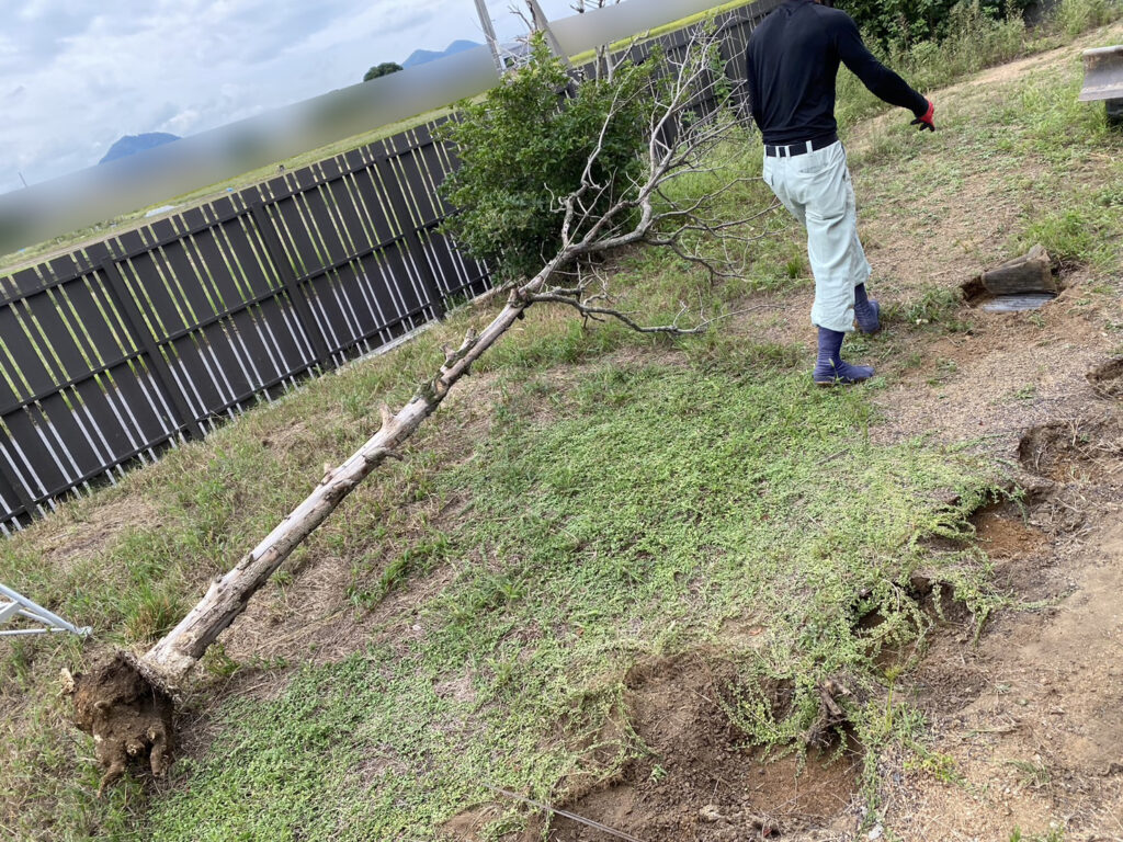 【高松市Ａ様邸】雑草対策・庭木や敷石撤去，庭リフォーム工事着工⛑ (株)カインズガーデン｜香川県の庭仕舞い