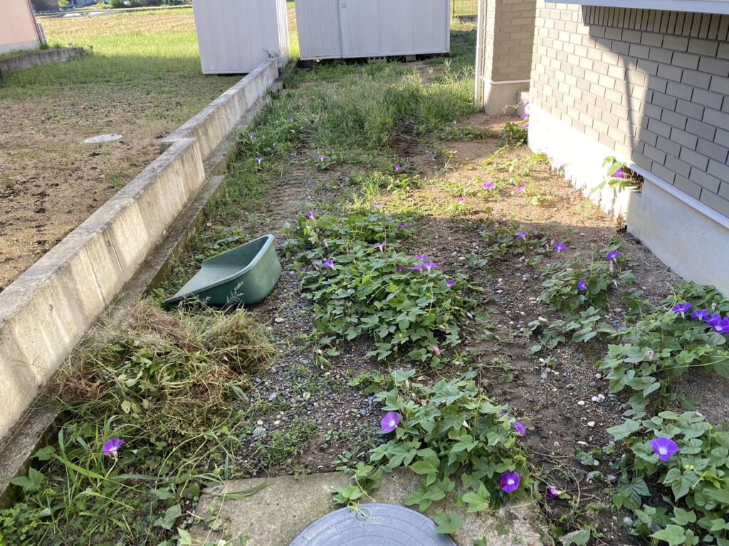 【高松市ＹＯ様邸】裏庭の雑草対策準備✊雑草撤去と鋤取り開始 (株)カインズガーデン｜香川県の庭リフォーム工事，庭仕舞い