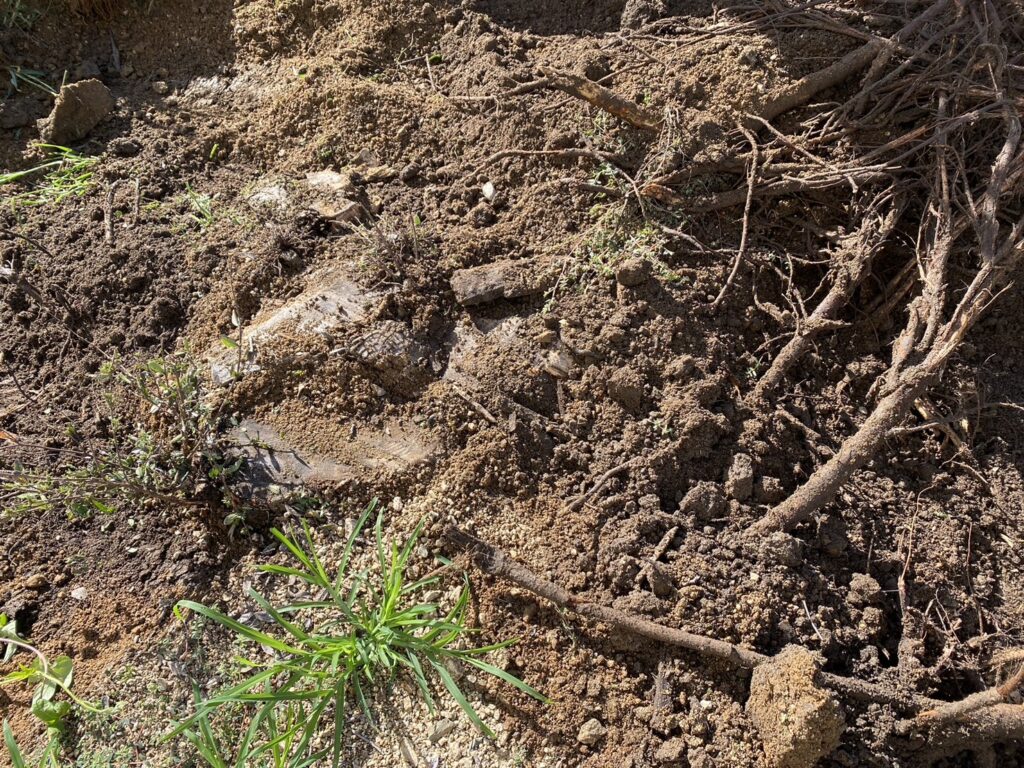 【高松市ＹＯ様邸】裏庭の雑草対策準備✊雑草撤去と鋤取り開始 (株)カインズガーデン｜香川県の庭リフォーム工事，庭仕舞い