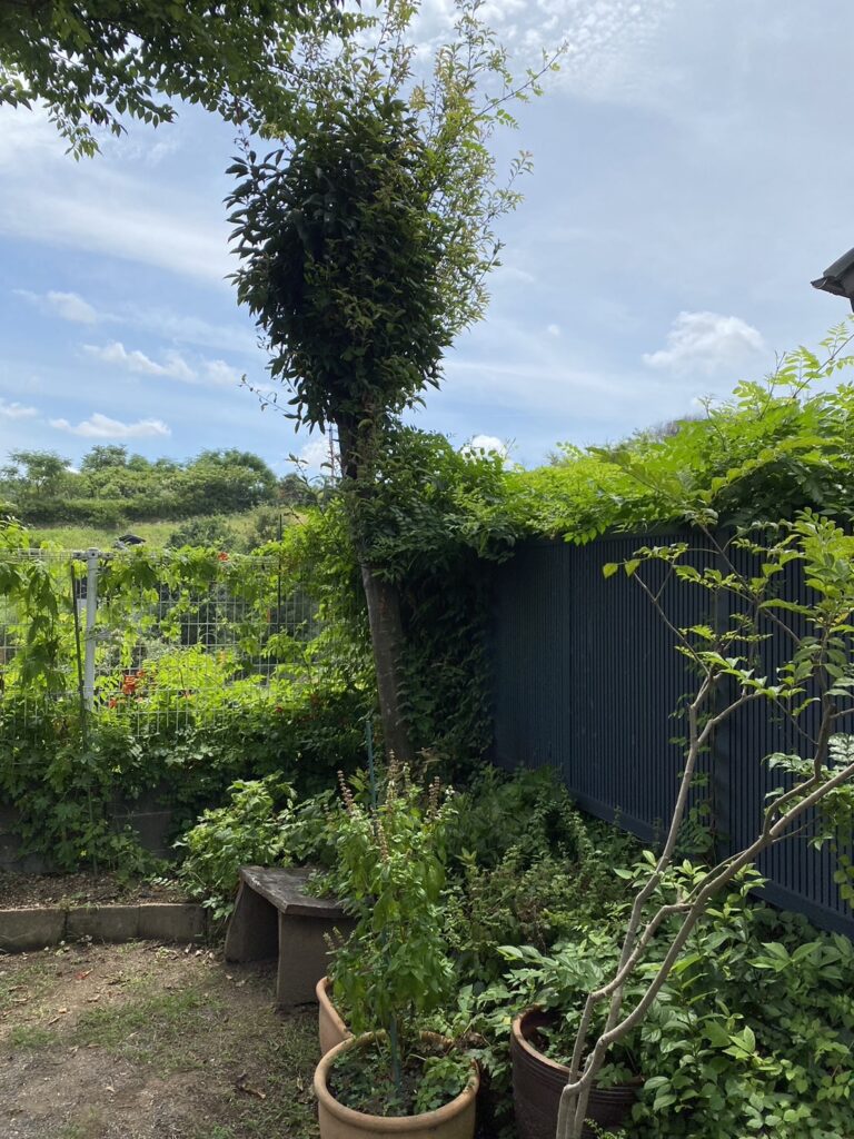 【高松市Ｍ様邸】庭木・植栽・花壇等を撤去しスッキリ庭仕舞い✨昨日着工⛑ (株)カインズガーデン｜香川県の庭リフォーム工事