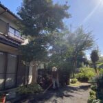 【高松市Ｍ様邸】庭木・植栽・花壇等を撤去しスッキリ庭仕舞い✨昨日着工⛑ (株)カインズガーデン｜香川県の庭リフォーム工事