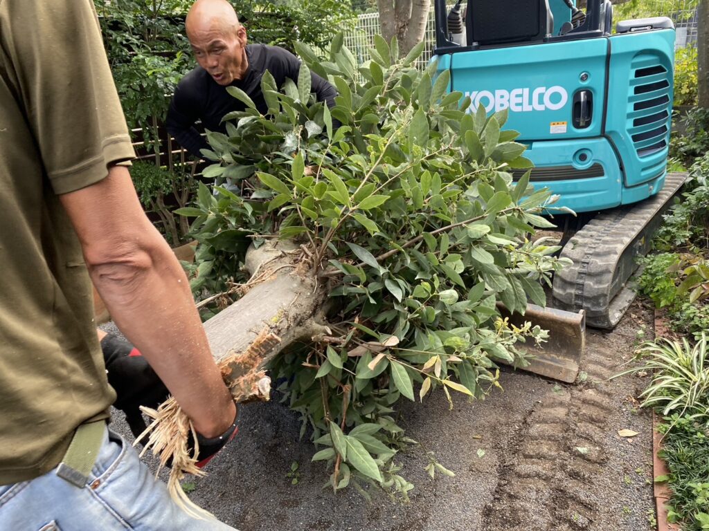 【高松市Ｍ様邸】庭木・植栽・花壇等を撤去しスッキリ庭仕舞い✨昨日着工⛑ (株)カインズガーデン｜香川県の庭リフォーム工事