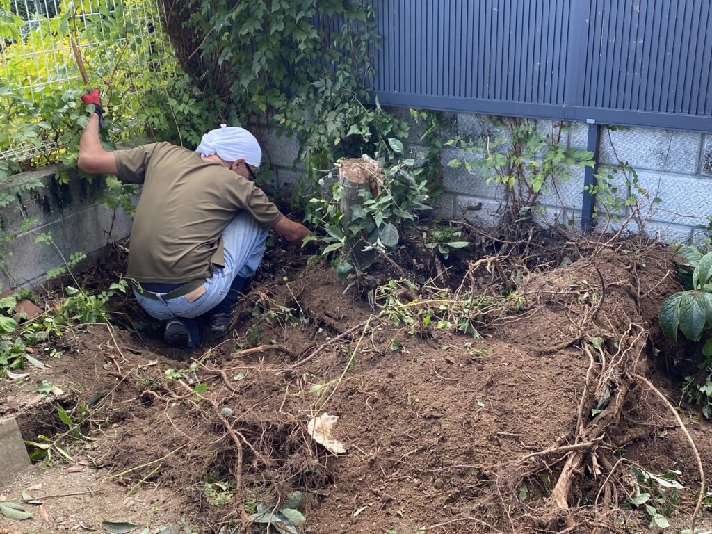 【高松市Ｍ様邸】庭木・植栽・花壇等を撤去しスッキリ庭仕舞い✨昨日着工⛑ (株)カインズガーデン｜香川県の庭リフォーム工事