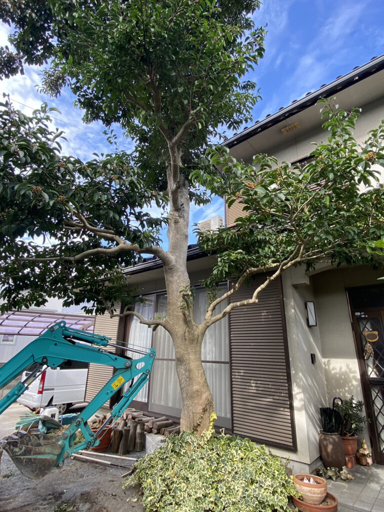 【高松市Ｍ様邸】庭木・植栽・花壇等を撤去しスッキリ庭仕舞い✨昨日着工⛑ (株)カインズガーデン｜香川県の庭リフォーム工事